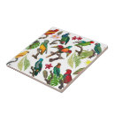Buscar pájaros tropicales azulejos Verano