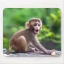 Buscar mono adorable alfombrillas de raton Primate