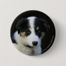 Buscar foto vieja pins Perrito