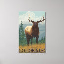 Buscar alces lienzos Colorado