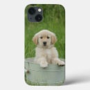 Buscar cuenco fundas Cachorro