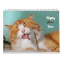Buscar gatos lindos calendarios Gatito