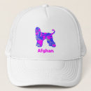 Buscar perrito gorras Cachorro