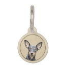 Buscar minpin Cachorro