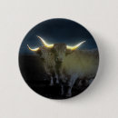 Buscar fluorescente chapas Brillante