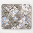 Buscar cherry alfombrillas de raton Flores de cerezo