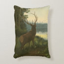 Buscar alces cojines Naturaleza