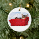 Buscar gatitos adornos Gato