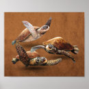 Buscar tortuga marina posters Azul