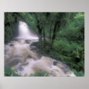 Buscar arroyos posters Cascada