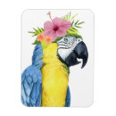 Buscar loros casa hogar Flores