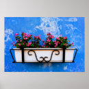 Buscar caja floral posters Para todos