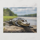 Buscar reptil postales Naturaleza