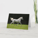 Buscar cola de caballo tarjetas Bob langrish