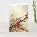 Buscar nostalgia tarjetas Flor