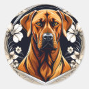 Buscar rhodesian ridgeback pegatinas Animal