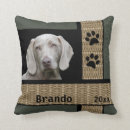 Buscar perro del weimaraner cojines Amante de los animales