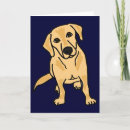 Buscar labradors tarjetas Animales