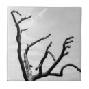 Buscar corteza de árbol azulejos Exterior