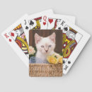 Buscar ojos azules barajas de cartas Animal joven