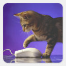 Buscar ordenador pegatinas Tecnología