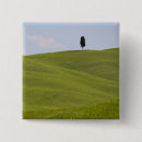 Buscar solitario chapas Árbol