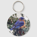 Buscar bluebird llaveros Azul