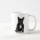 Buscar staffordshire Canino