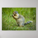 Buscar colombiano posters Naturaleza