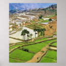 Buscar yunnan posters Charles crust
