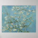 Buscar árbol blanco posters Flor