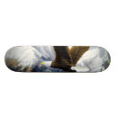 Buscar desierto tablas de skate Pintura