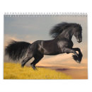 Buscar caballos calendarios Lindo