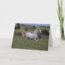 Buscar américa tarjetas Animal