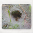 Buscar arácnidos alfombrillas de raton Insecto