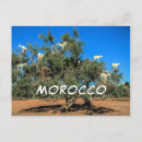 Buscar cabras divertidas postales Para todos