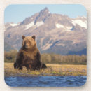 Buscar garra de oso posavasos Alaska