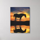 Buscar caballo hermoso lienzos Caballos
