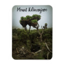 Buscar tanzania imanes Kilimanjaro