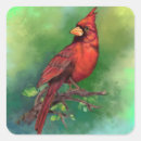 Buscar cardenal rojo pegatinas Cualquier niño