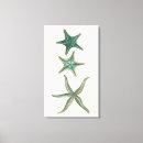 Buscar starfish arte Pez estrella