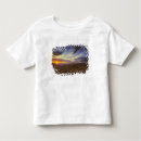 Buscar geología camisetas Arizona