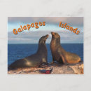 Buscar galápagos postales Sur