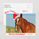 Buscar caballo lindo postales Vacaciones