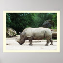 Buscar rinoceronte posters Para niños