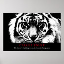 Buscar tigre blanco posters Para ella