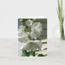 Buscar fotografía tarjetas de condolencias Floral