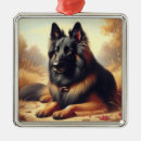 Buscar belga adornos Perro