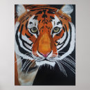Buscar rey de la selva posters Gran gato