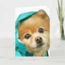 Buscar impermeable tarjetas Perro